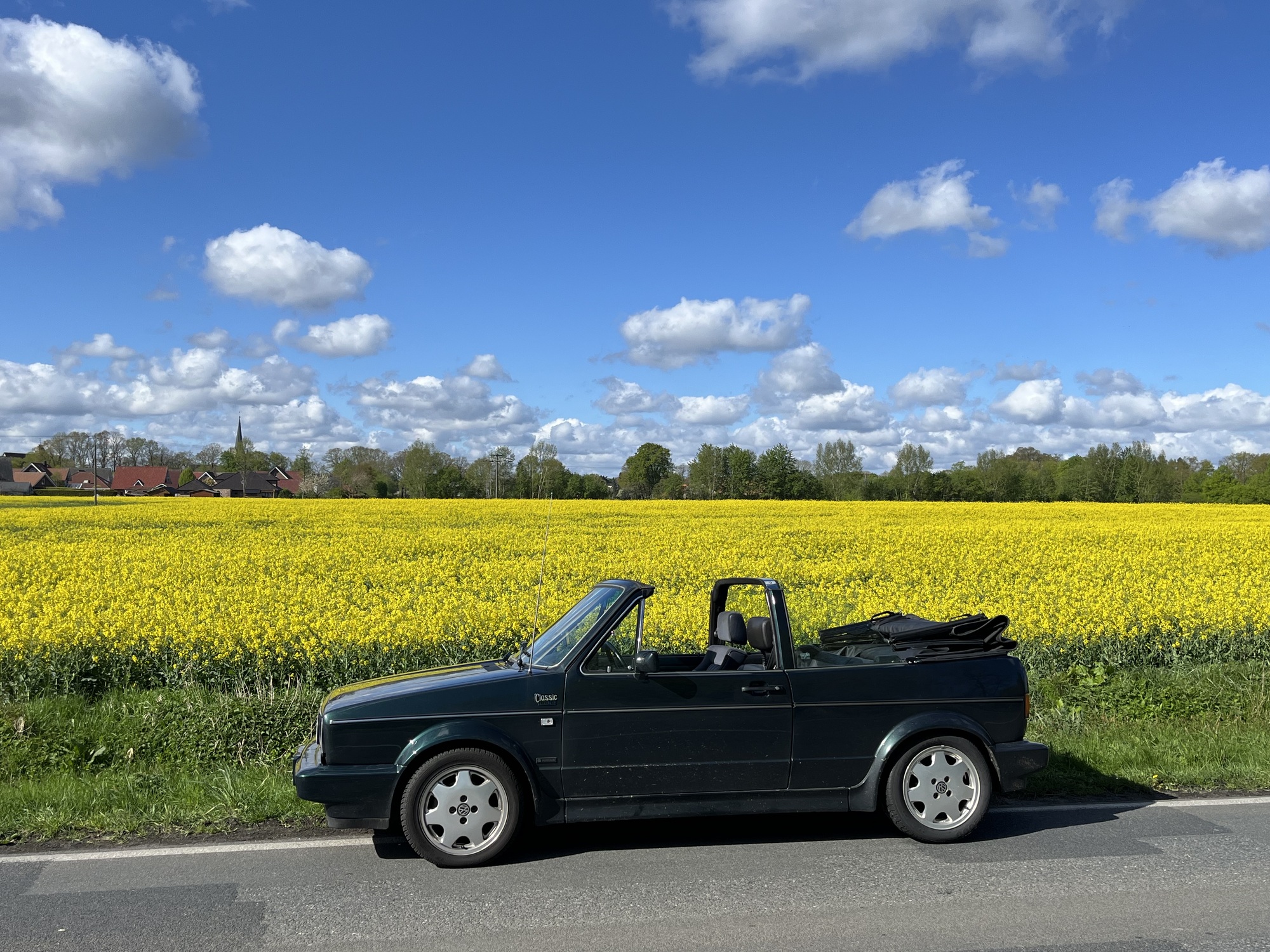 Mein Classicline vor einem blühenden Rapsfeld